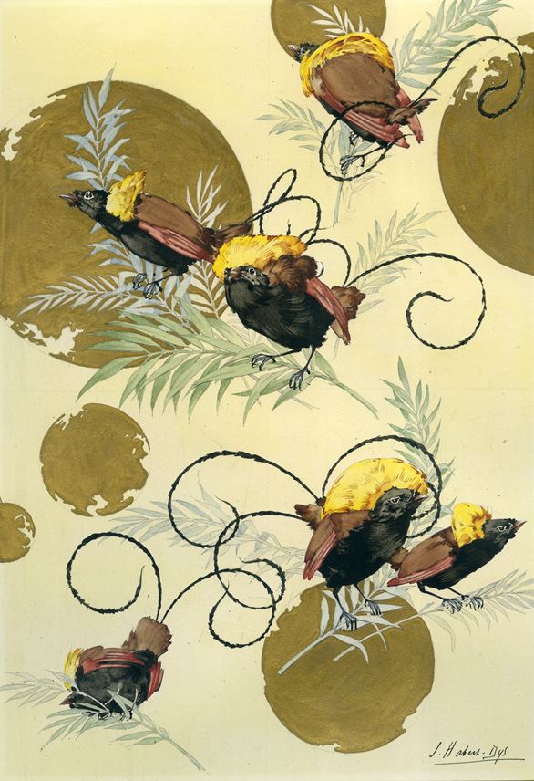 Jules Habert-Dys - Illustration for Caprices Décoratifs: Oiseaux de paradis [Birds of Paradise] | MasterArt